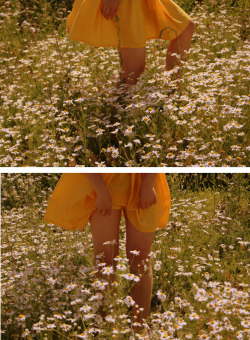 Playing in the daisies