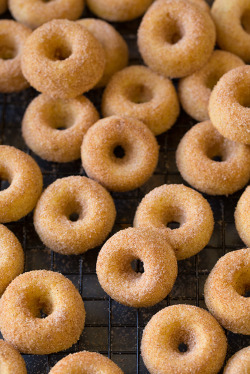 fullcravings:  Baked Cinnamon Sugar Mini Donuts 