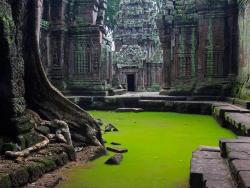  Ta Prohm Temple, Cambodia 