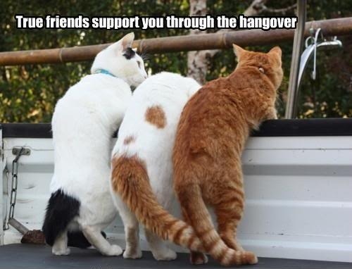 Thanks guys, the fresh air is helping