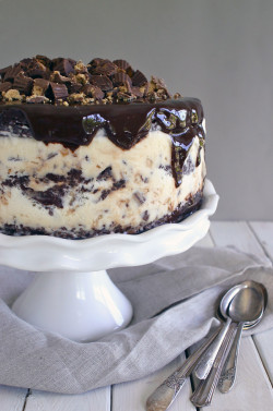 chocolateguru:  Reese’s Borwnie Ice Cream Cake