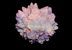 phantomquartz:  Rare “Pinapple” Opal “Opal Pseudomorphs