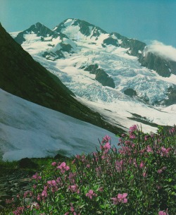 retrospectia:  Pacific Wilderness, 1989 