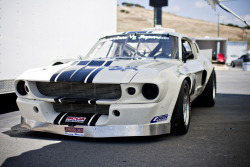 coffeeandspentbrass:  gashetka:  1967 | Ford Mustang Shelby GT