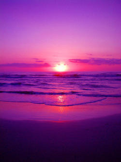 drxgonfly:  Purple Sunrise (by Richie Tatum) 
