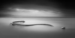 hybridblood:  inwardlyurgent:  itscolossal:  A Giant Twisting Serpent Skeleton Emerges from the Loire River in France  1,000 nopes!  YES 