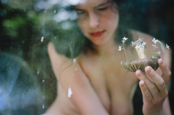 alveoliphotography:  Gills & stamens. May, 2014. Kelsey Dylan