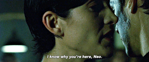 neondarkos: And when he found me… he told me I wasn’t really looking for him, I was looking for an answer. It’s the question that drives us, Neo. It’s the question that brought you here. You know the question… just as I did. - What is the Matrix?