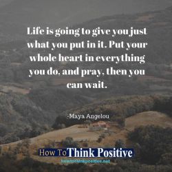 thinkpositive2:  Life is going to give you just what you put