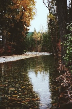 peaceful-moon:  eartheld:  evurqueen:  xx nature xx  mostly nature