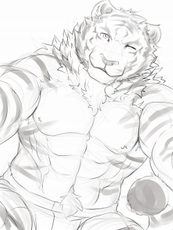 ralphthefeline:  WIP of tiger Ralph. Just playing around with