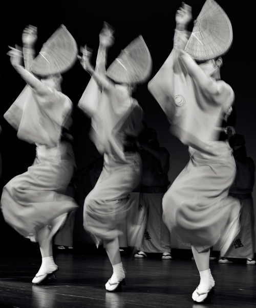 thekimonogallery:  Awa Odori festival, Japan.  Photography by