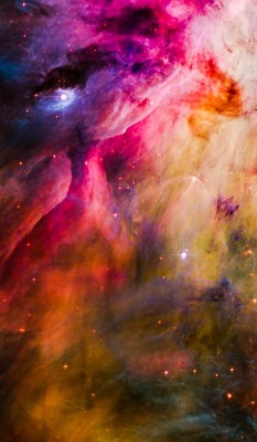 thedemon-hauntedworld:M42 The Orion Nebula Hubble Palette Credit: