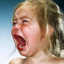 queenofjamestown:  My face during and after a #ShondraRimes season