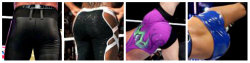 houndsofhotness:  nikkiswifey: WWE Superstars & Divas ass