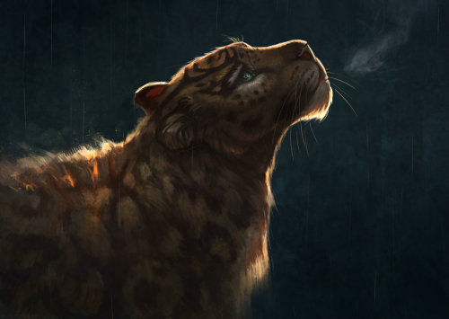 crossconnectmag:  Jade Mere           Jade’s animals, mostly predators from the canine and feline families, convey both a sense of strength and ferocity as well as a frail, almost lonely side. They wander through the night by themselves but have a light