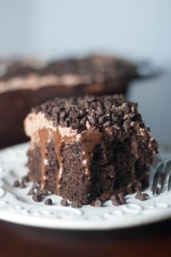 fullcravings:  Chocolate Pudding Poke Cake