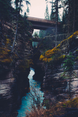 adm-kng:   	Jasper National Park by Adam King | instagram