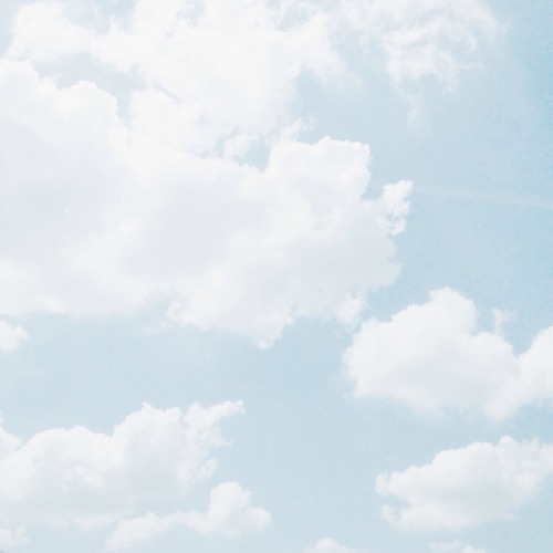 skyberrii:  all photographed by skyberrii   â™¡.Â°â‘…     