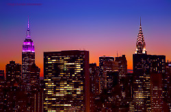 The Empire State Building shines purple to raise awareness for