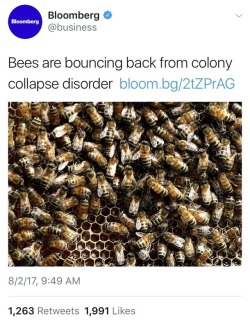 felyne-comrade: mikepents:  weavemama:   weavemama: BEES ARE