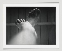 Robert Mapplethorpe's polaroids