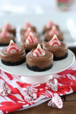 guardians-of-the-food:  Mini Dark Chocolate Candy Cane Kiss Cheesecakes