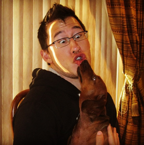 pucklexis:  Markiplier and his puppies.
