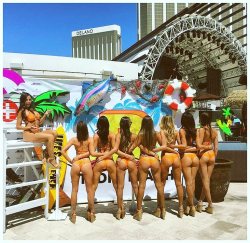 meanwhileinvegas:  Happy Hump Day from these sexy ladies! 🍑🍑🍑🍑👯👯👯