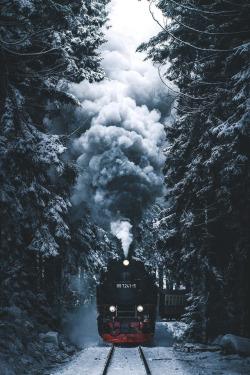 lsleofskye:  Harz National Park | kuhrmarvin