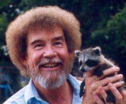 awwww-cute:Bob ross holding a baby raccoon to brighten your day