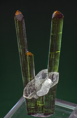 ifuckingloveminerals:  Elbaite, Quartz  Cruzeiro mine, São José