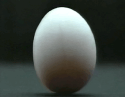 I made a gif of the egg cracking in the opening of Trick (season/series