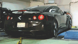 jay-are-pee:  Dragon. 