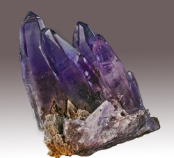 ifuckingloveminerals:  Amethyst Amatitlán, Mun. de Zumpango