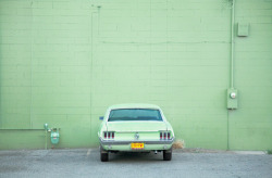 Ugly Ugly Emptiness