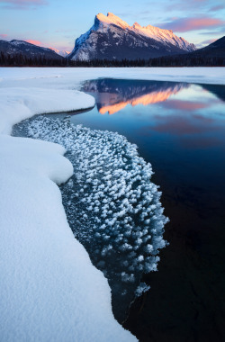 expressions-of-nature:  Vermilion Lakes / Alberta, Canada by: