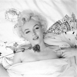 perfectlymarilynmonroe:  Marilyn photographed by Cecil Beaton