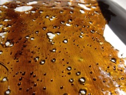 aremyeyesred710:  Durban Poison slabs from GoldleafExtractions