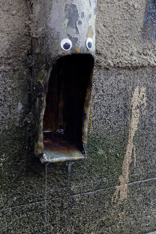 wilwheaton: archiemcphee:  With everything that’s going on in the world right now, googly eyes are more important than ever. The seemingly benign act of eyebombing, like these outstanding works by Bulgarian eyebomber Vanyu Krastev of Eyebombing Bulgaria,