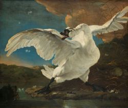 flyse:   The Threatened Swan, Jan Asselijn (Dutch, 1610–1652),