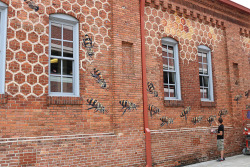 culturenlifestyle:  Artist Paints 50,000 Bees Over The Globe