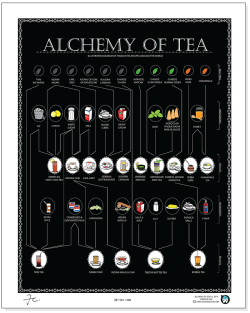 buddhateas:  The Alchemy of TeaAn infographic beautifully maps