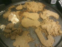 So here’s a fairy fail at cookies. Yeah do NOT sub melted coconut