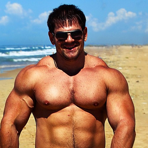 tumblr photo builddudebuild 4