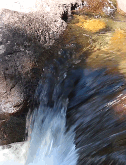 rivermusic:  Rushing toward Autumn :)  Lake Creek cascades, Beartooth