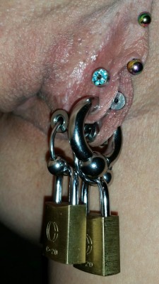 pussymodsgaloreA well pierced pussy. She has a VCH, and six inner