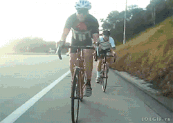 LOL Gifs