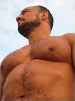 manly-brutes:   tumblr | vids | fb 