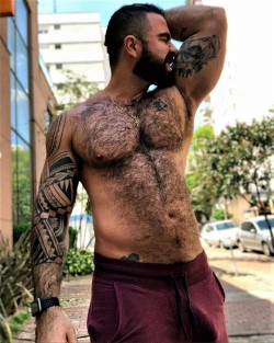 Hairy Armpits Dudes Addict